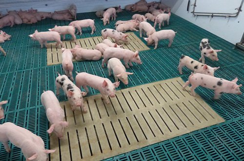 Kunststoffsystem mit Betonrost